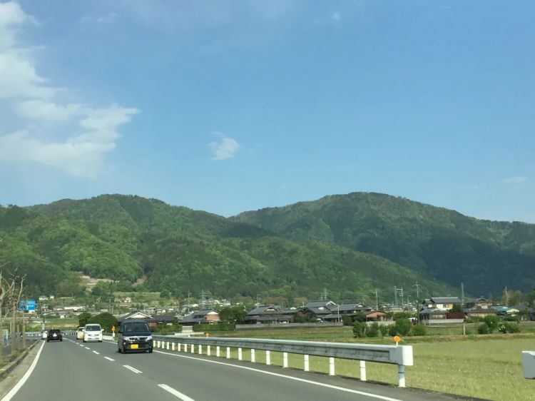 日本生育率为何一跌再跌？