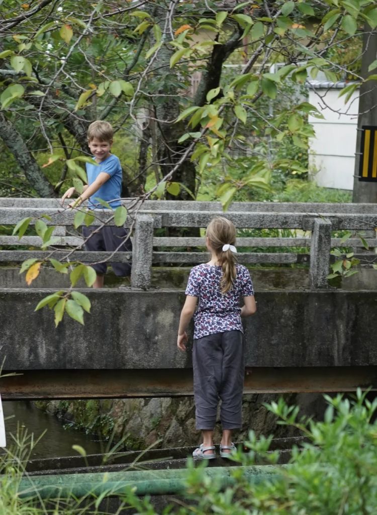 日本生育率为何一跌再跌？