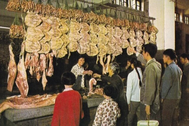 日本女孩的牙，为什么大多不好看？
