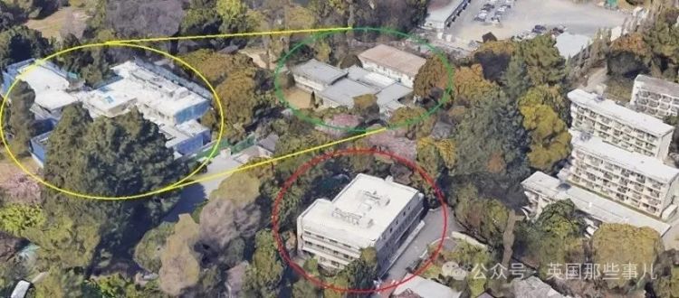 纪子妃一家全员患病？豪宅改医院，砸1500万买药！宫斗一辈子，身体却…
