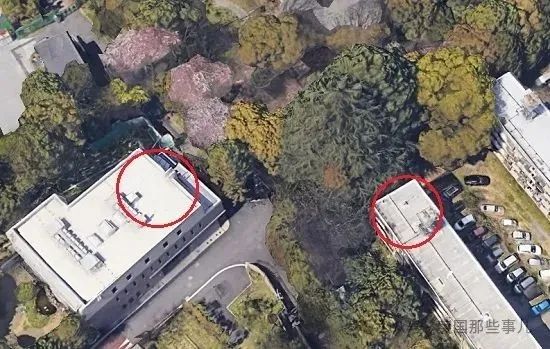纪子妃一家全员患病？豪宅改医院，砸1500万买药！宫斗一辈子，身体却…