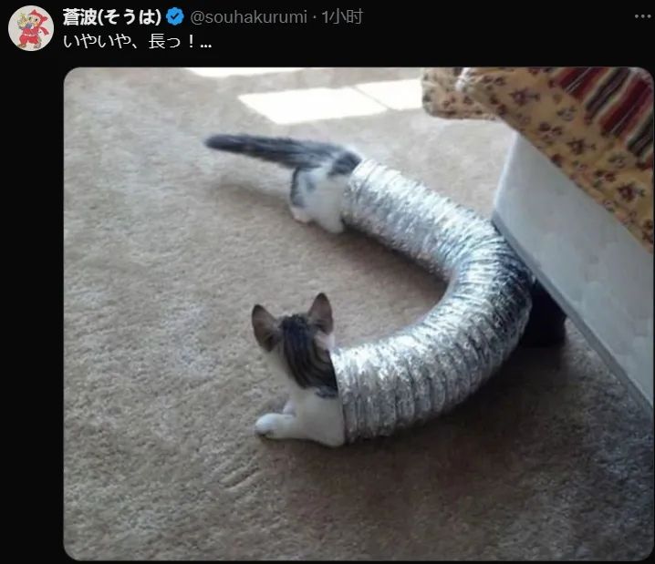 日本网友又在瞎说什么大实话|第48回