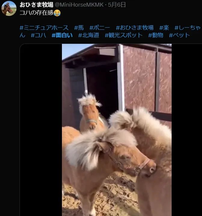 日本网友又在瞎说什么大实话|第48回