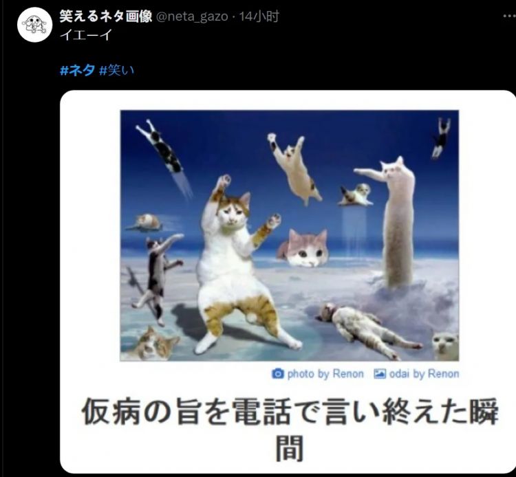 日本网友又在瞎说什么大实话|第48回