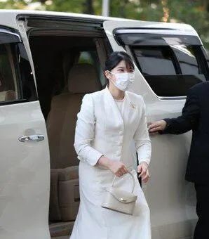 第186期：知名表情包Doge原型去世；宫崎骏新作或为冒险题材？爱子公主单独执行公务 | 百通板