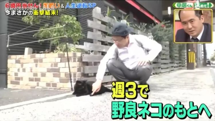 一年中奖500次、15次100万大奖…他们透露了自己的暴富秘诀