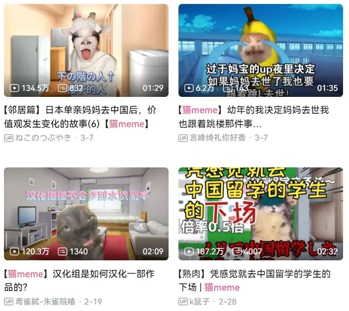 日本人妻来中国离婚后每天凌晨2点起床怒学中文，靠做猫meme火了