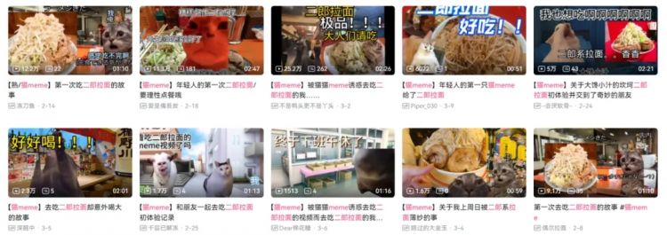日本人妻来中国离婚后每天凌晨2点起床怒学中文，靠做猫meme火了