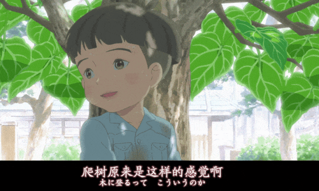 年度第一的治愈好片来了，后劲实在太大