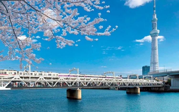 这家日本铁路公司赤字1亿，靠副业艰难维生…列车不能停……