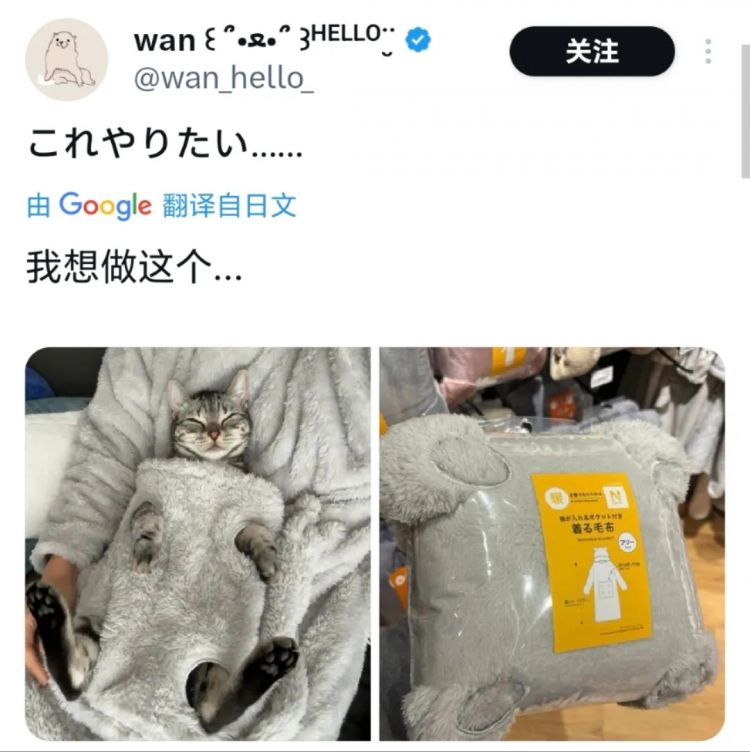 日本网友又在瞎说什么大实话|第54回 日本网友又在瞎说什么大实话|第54回