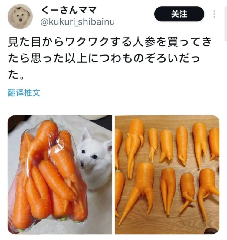 日本网友又在瞎说什么大实话|第54回 日本网友又在瞎说什么大实话|第54回