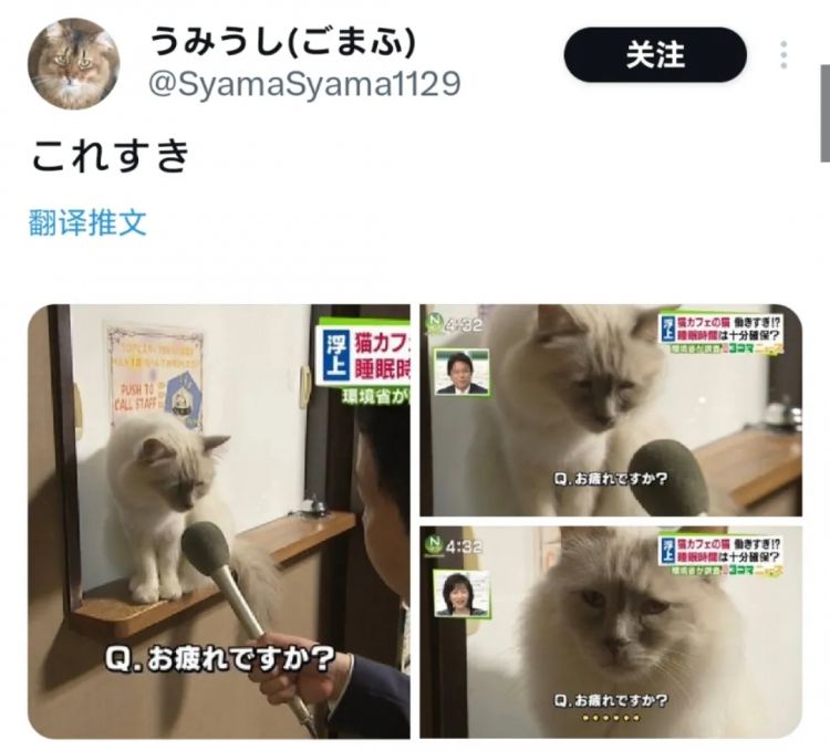 日本网友又在瞎说什么大实话|第54回 日本网友又在瞎说什么大实话|第54回