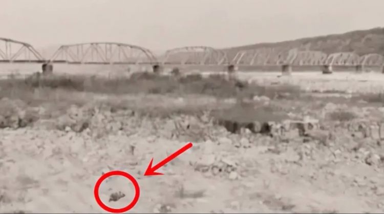 日本离奇悬案:被困蹲便器下的人 日本离奇悬案:被困蹲便器下的人