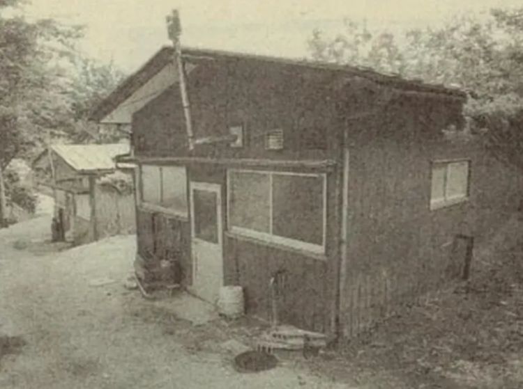 日本离奇悬案:被困蹲便器下的人 日本离奇悬案:被困蹲便器下的人