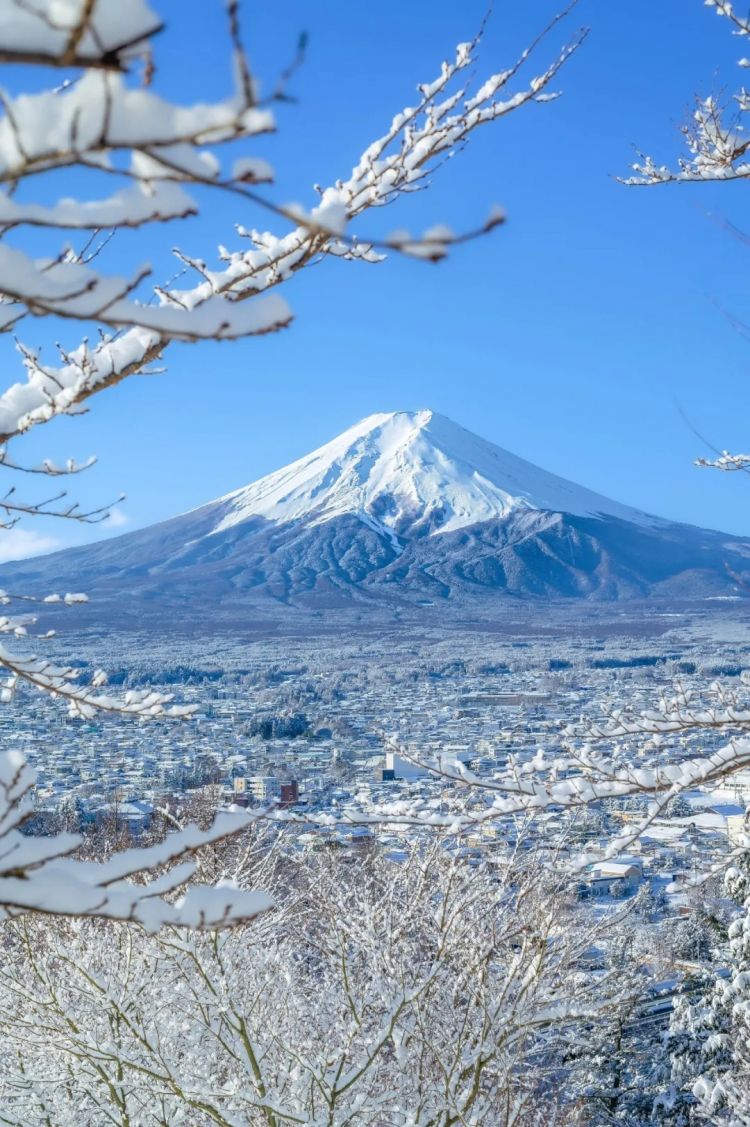 第218期：日本制铁将起诉拜登？知名男星醉酒闯入民宅掉代言；红白收视涨了 告别倒一；平野紫耀或将演晨间剧？| 百通板