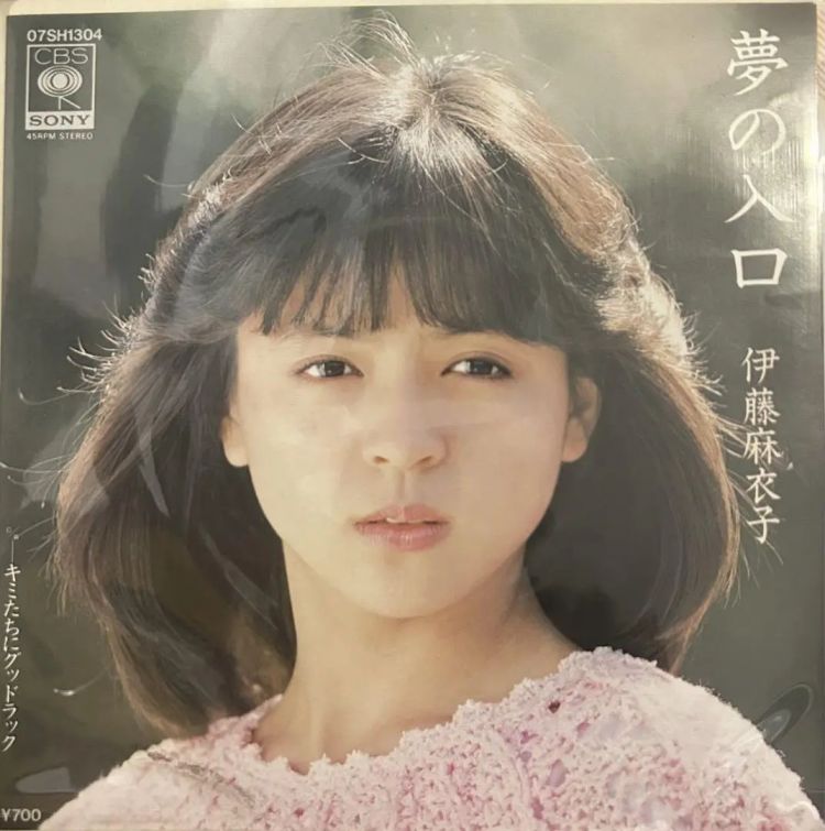 风靡日本的女偶像…在45岁考大学、60岁当教授！天生反骨的她靠一只狗彻底改变人生