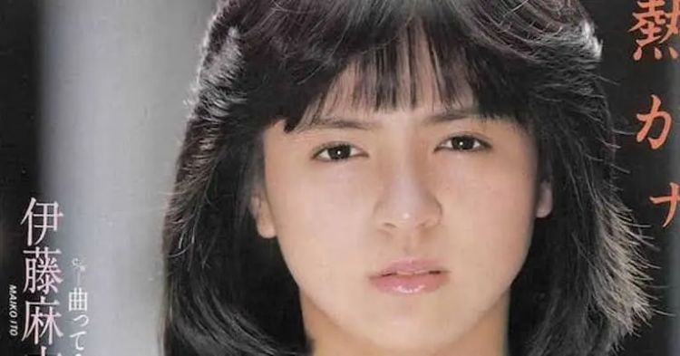 风靡日本的女偶像…在45岁考大学、60岁当教授！天生反骨的她靠一只狗彻底改变人生