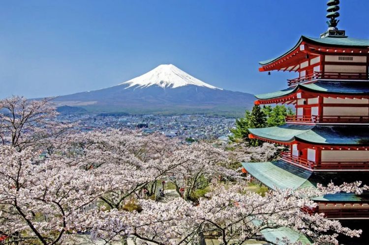 梦幻联动！樱花×富士山的绝美瞬间