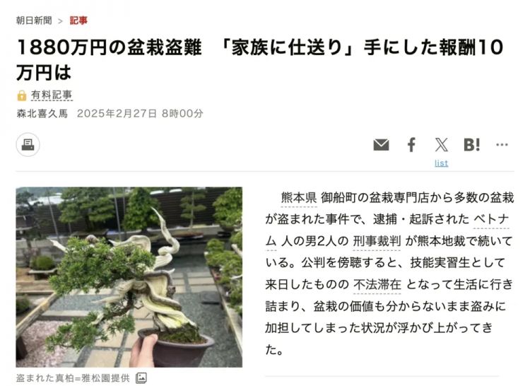 日本犯罪新潮流：想要富，先偷树