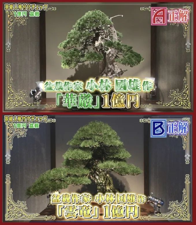 日本犯罪新潮流：想要富，先偷树