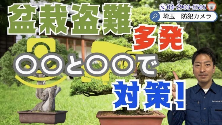 日本犯罪新潮流：想要富，先偷树
