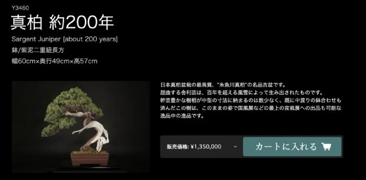 日本犯罪新潮流：想要富，先偷树
