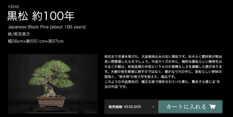日本犯罪新潮流：想要富，先偷树