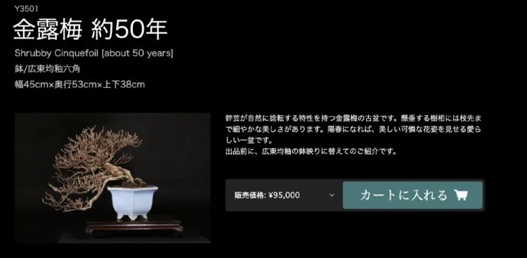 日本犯罪新潮流：想要富，先偷树