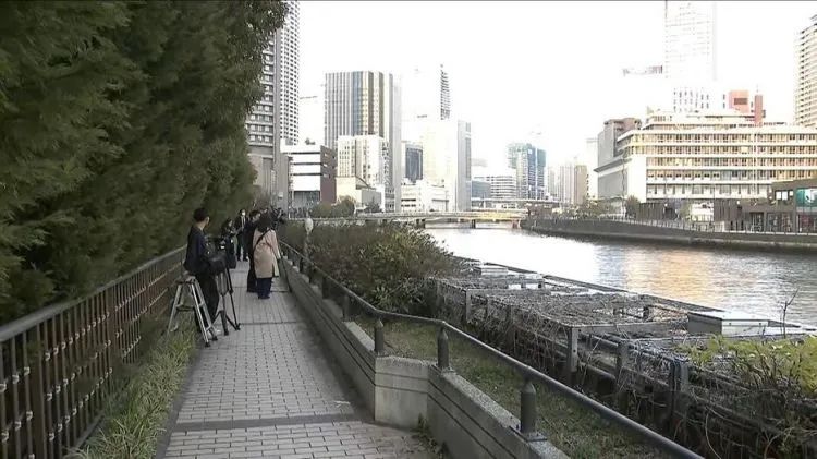 第229期：吉伊卡哇将停播；桥本环奈晨间收视垫底收官；广濑铃和山崎贤人被曝分手；又一邪教遭曝光？| 百通板
