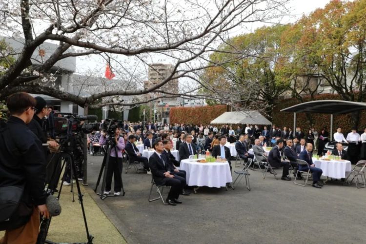 驻长崎总领事陈泳出席总领馆举办的纪念建馆40周年赏樱会暨总领事到任招待会
