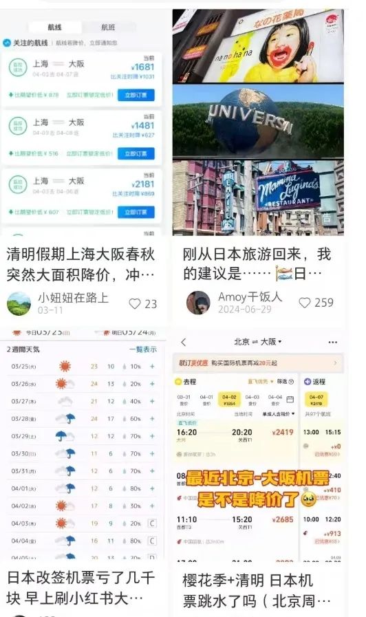第一批中国“樱花难民”正在日本骂街