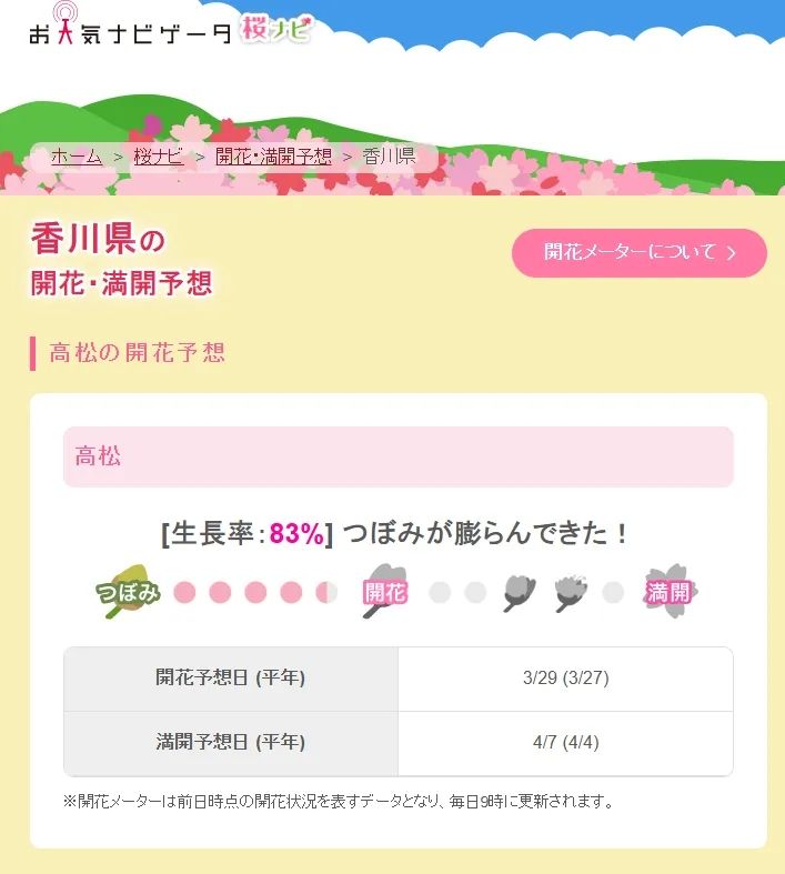 第一批中国“樱花难民”正在日本骂街