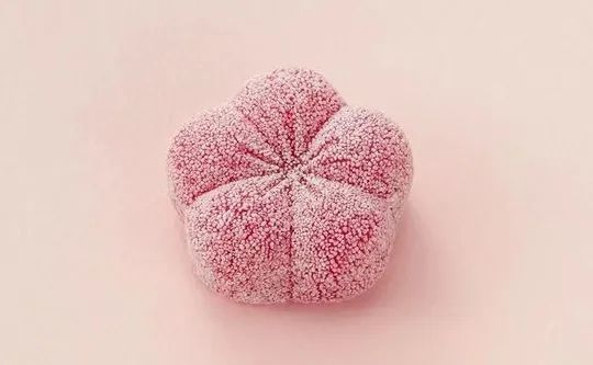 3000岁的日本饮食之花——和菓子