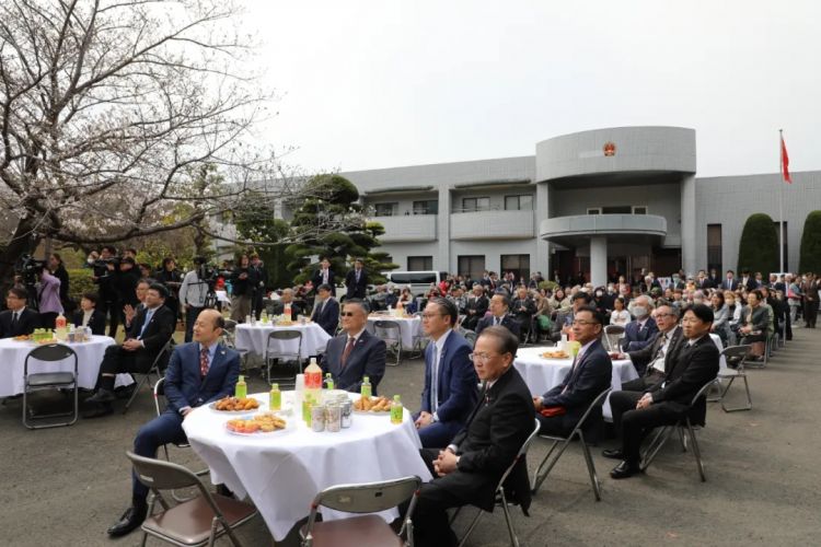 驻长崎总领事陈泳出席总领馆举办的纪念建馆40周年赏樱会暨总领事到任招待会
