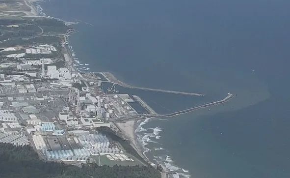 第231期：二次检测通过 日本海产将解禁？公厕没有卫生巾被日本网友痛批？知名女星肇事伤人被捕 | 百通板