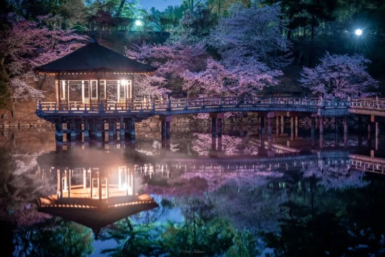 第231期：二次检测通过 日本海产将解禁？公厕没有卫生巾被日本网友痛批？知名女星肇事伤人被捕 | 百通板
