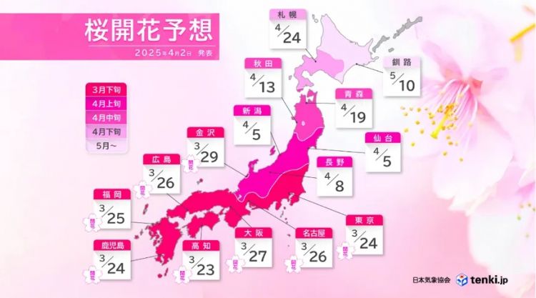 浪漫樱花背后的日本“国民病”