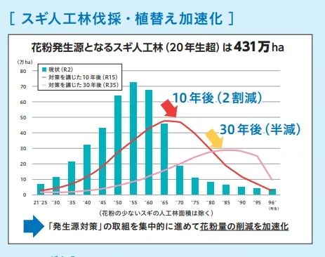 浪漫樱花背后的日本“国民病”