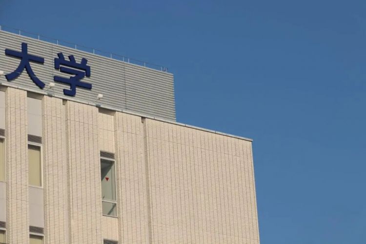 日本大学教小学计算，把财务省整破防了