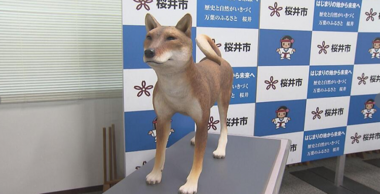 日本复原1800年前卑弥呼女王宠物狗？专家：或为中日交流产物