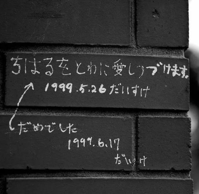 日本网友又在瞎说什么大实话？第57回