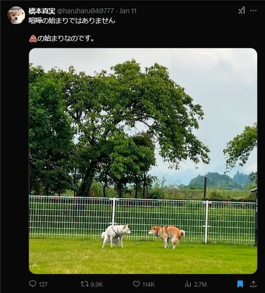日本网友又在瞎说什么大实话？第57回