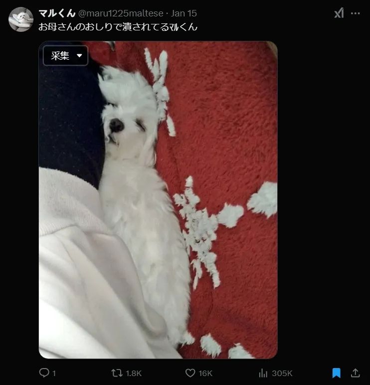 日本网友又在瞎说什么大实话？第57回