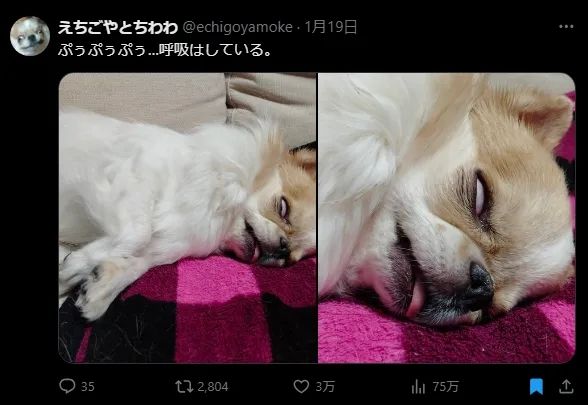 日本网友又在瞎说什么大实话？第57回