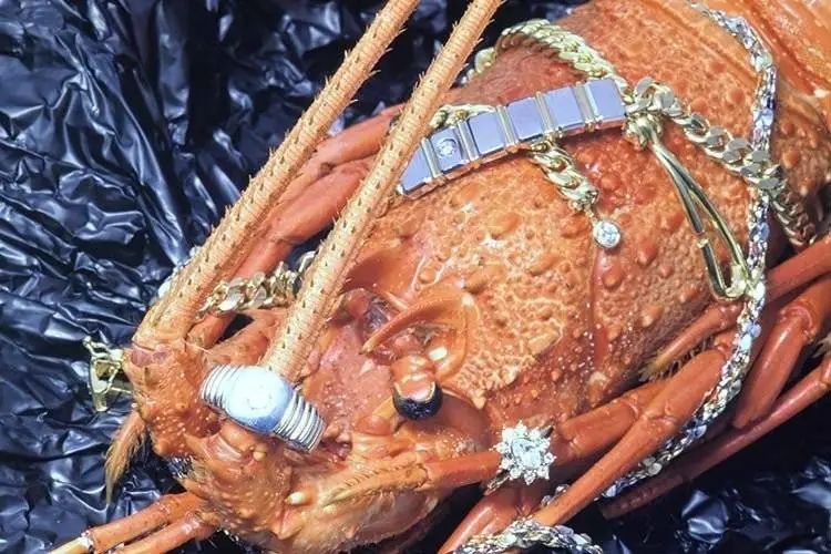 日本黑帮的跑路金链，成了弄潮儿的老铺黄金