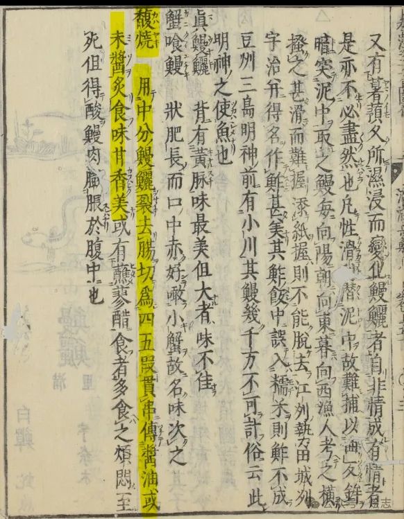 关于蒲烧鳗鱼，以及日本人的吃鳗历史脑回路