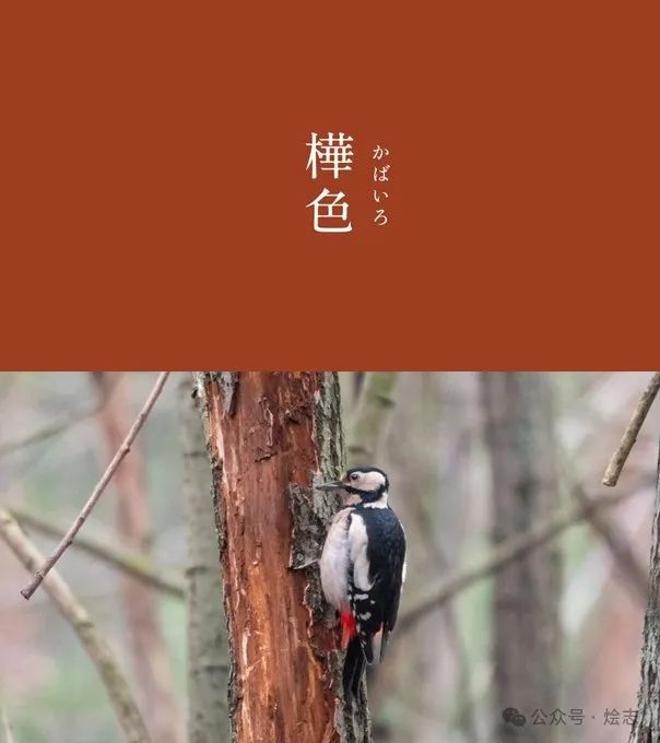 关于蒲烧鳗鱼，以及日本人的吃鳗历史脑回路
