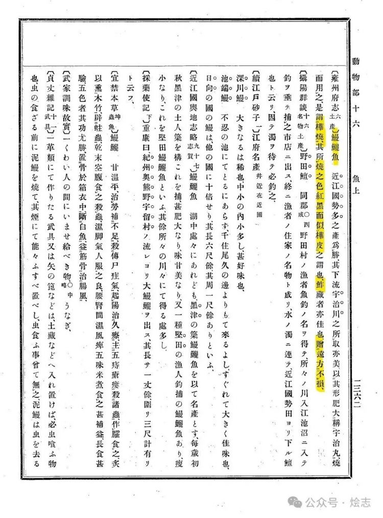 关于蒲烧鳗鱼，以及日本人的吃鳗历史脑回路