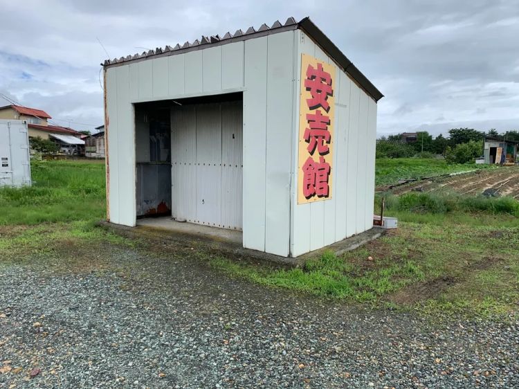 黄书贩卖机的末路：衰老国家血液与色情机器